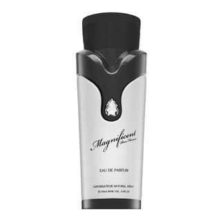 Magnificent Pour Homme Eau de Parfum