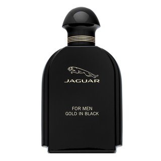 For Men Gold in Black Eau de Toilette