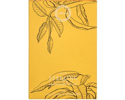 Odyssey Go Mango | | Eau de Parfum