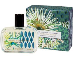 Santal Cardamome - Aromatisch Eau de Parfum