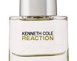 Kenneth Cole Reaction spray Eau de Toilette