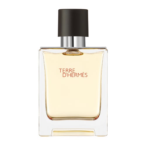 Terre D’Hermès Eau de Toilette
