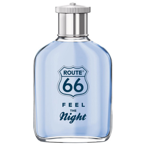 Feel the Night spray Eau de Toilette