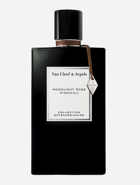 Moonlight Rose 75 - | Parfum Eau de Parfum