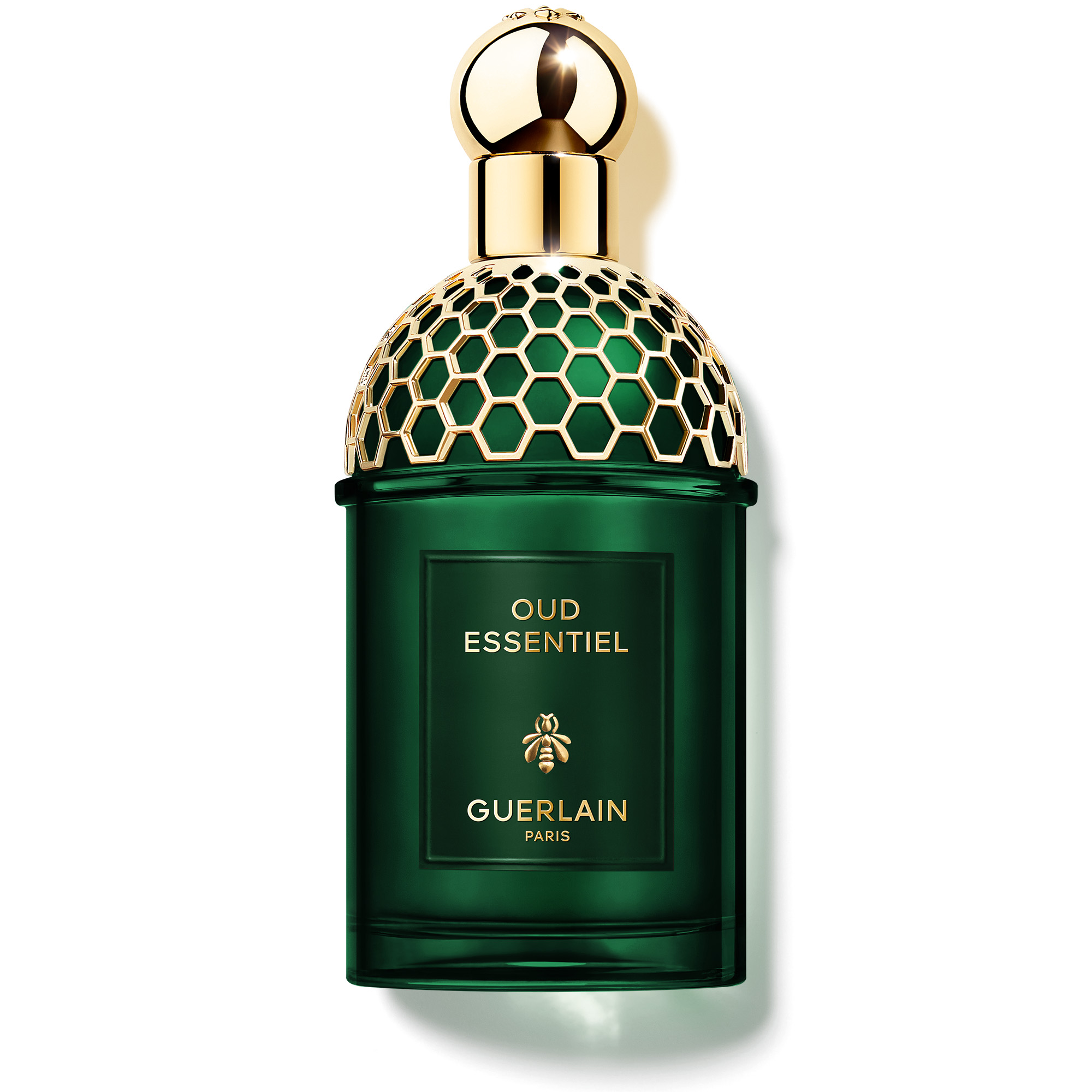 Absolus Allegoria Oud Essentiel - | Parfum Eau de Parfum