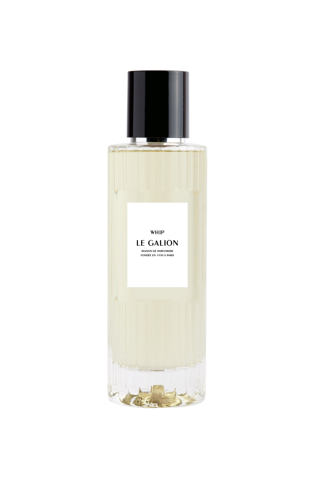 Whip - | Parfum Eau de Parfum