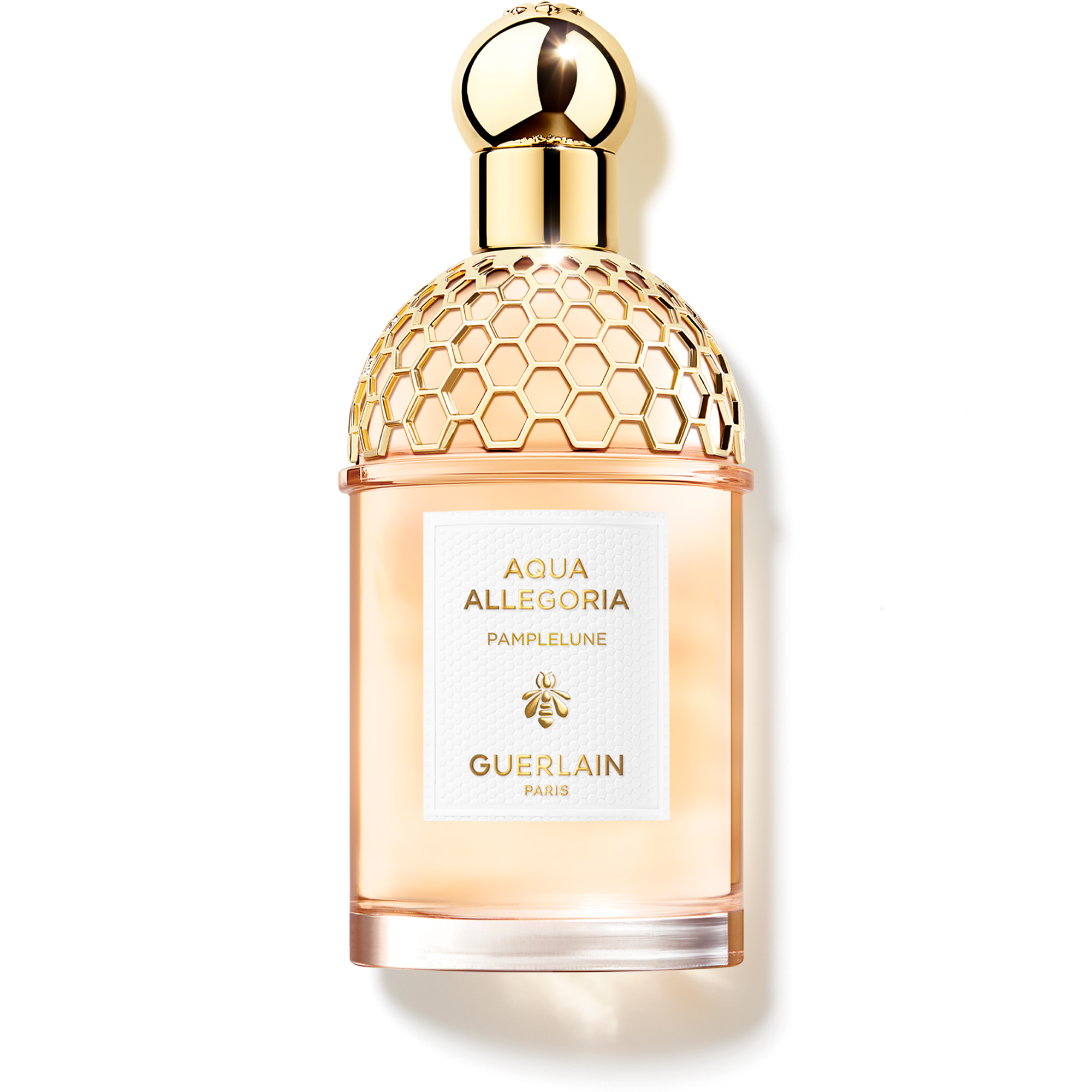 Aqua Allegoria Collection Pamplelune Eau de Toilette