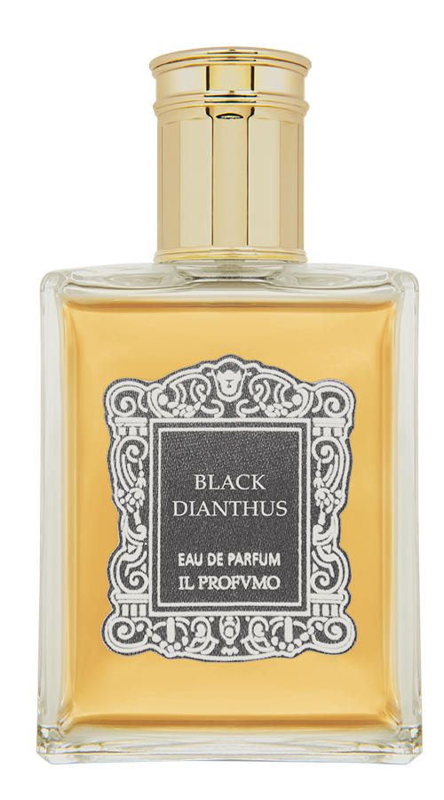 Black Dianthus Osmo Eau de Parfum