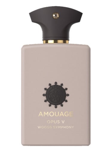 Library Collection - | Parfum Eau de Parfum