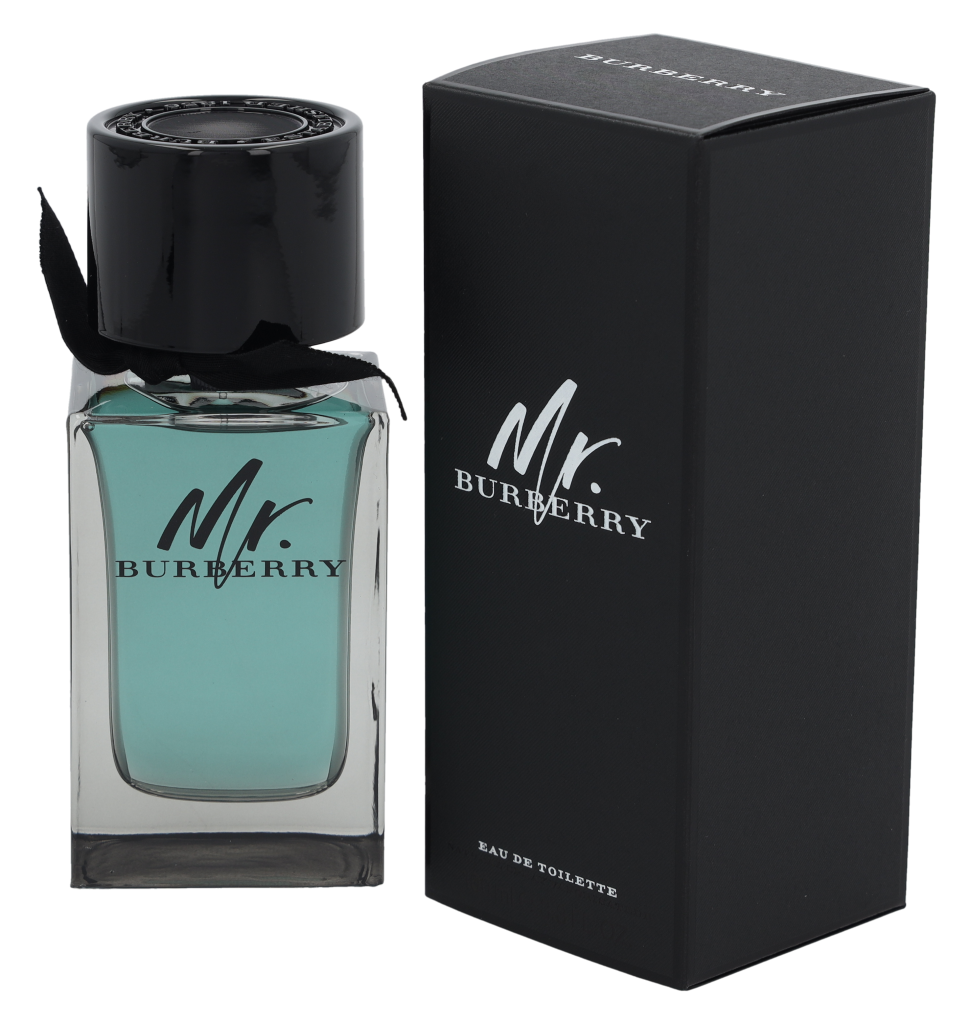 Mr. Burberry Spray Eau de Toilette