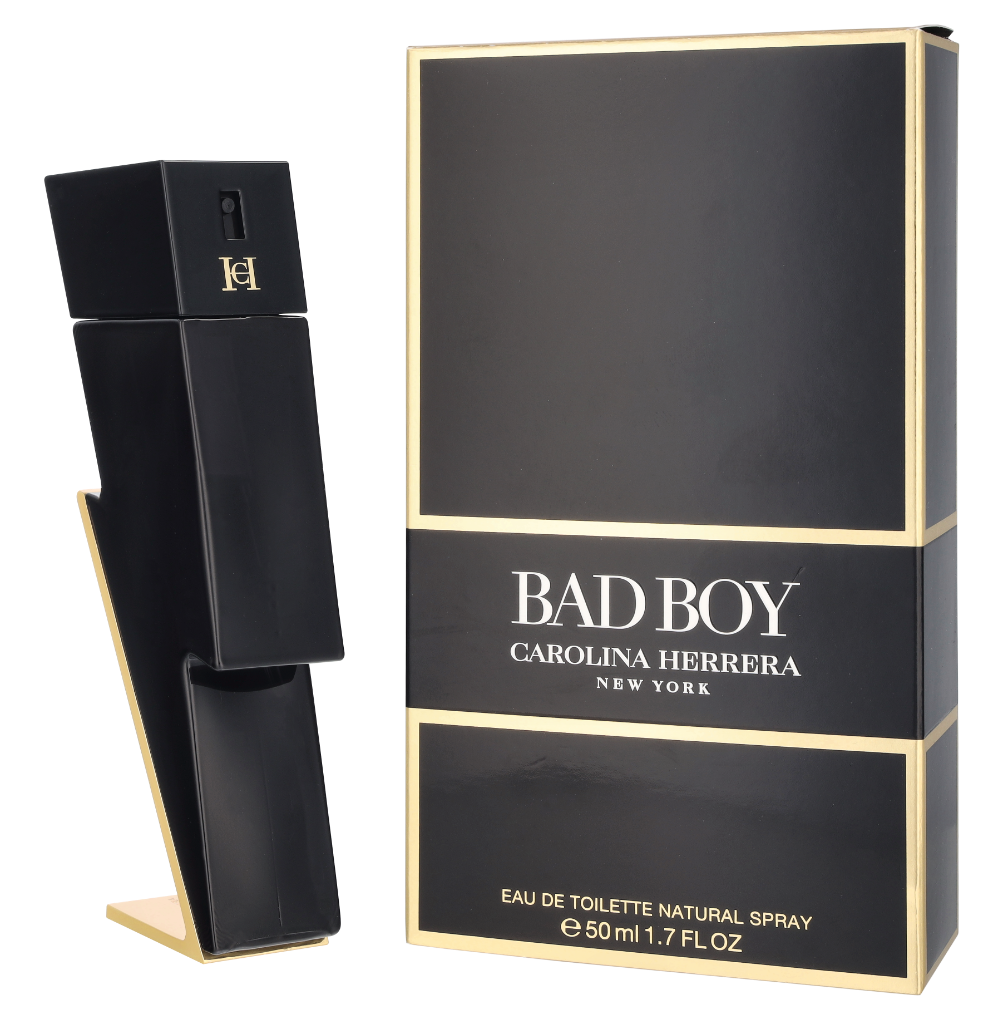 Bad Boy Spray Eau de Toilette
